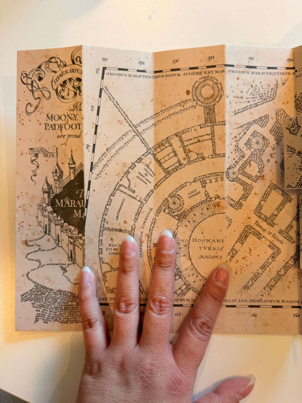 Authentic WB Marauder's Map - Picture 6 of 7